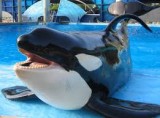 Sea World