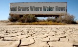 food_grows_water_flows
