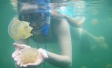 naturalphenomenonfreshwaterjellyfishgirlwithjellyfish-492012-141827_horiz-large