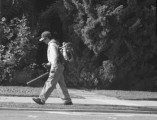 Leaf Blower