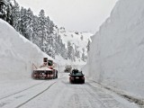 Snow