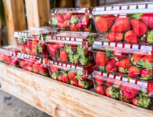 Don’t Trash the Berry Clamshell Because the Alternative Simply Doesn’t Work 